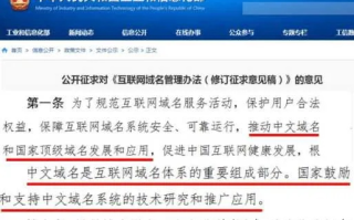 国内高校建立WWW网站，域名选择与文化传承