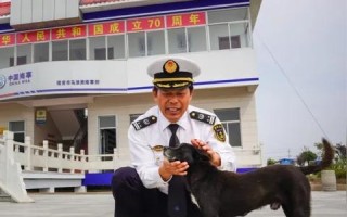 淮安互联，打破信息孤岛，助力本地生活无缝连接