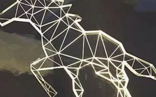 壹网中国，探索新兴数字平台的全貌与前景