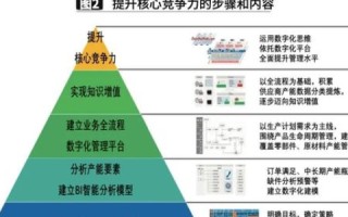 探究新睿云服务的稳定性，优势、实践案例与用户反馈综合分析
