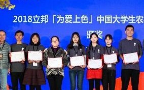 微光云官网，开启数字时代云办公新纪元