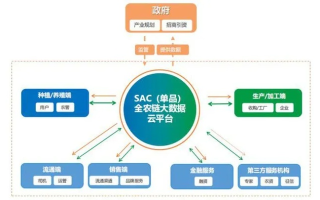 云牛网，重塑农业产业链的数字化先驱