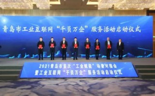 365网络科技，引领数字化转型，重塑企业未来
