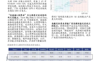 盛网评测，深度解析与未来展望