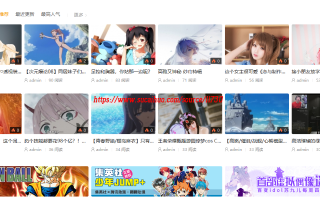 打造专属动漫乐园，选择合适的虚拟主机构建Discuz动漫论坛