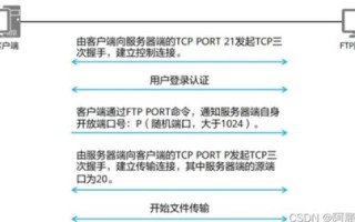 探索免费域名之路，为何选择花生壳域名，并探讨其优势与限制