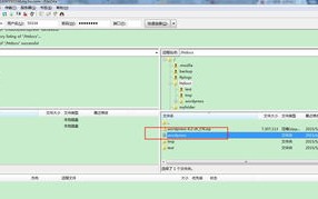 哪些香港主机适合运行WordPress？