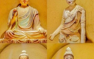 上海众生网络，数字化浪潮下的城市生态重构