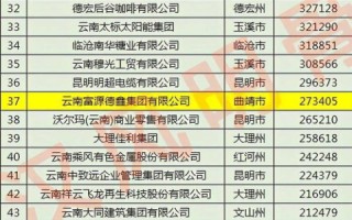 国内.CN域名抢注哪家强？深度剖析与推荐