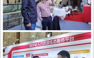 龙网网络官网权威发布，开启数字化转型新篇章