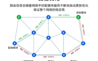 一龙网络稳定性分析与优化策略