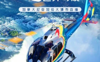 启程飞翔之旅，探索飞翔天下官网的无限可能