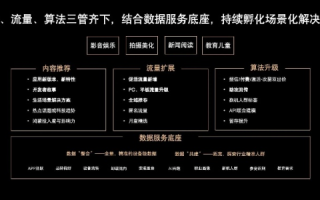 鹏诚互联大揭秘，用户体验、服务优化与未来发展分析