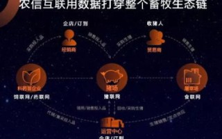 特维互联，重塑数字时代的企业沟通协作新生态