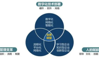 恒赛科技的实践与体验，一家企业的数字化转型之路