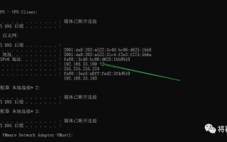 为什么在地址栏中输入域名访问网站，网站打开后地址栏里显示的是IP