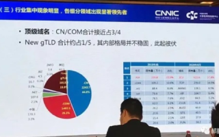 域名行业，现状、挑战与未来展望