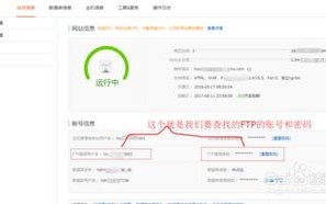 阿里云服务器上的网站可以查看来访者吗？