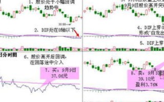 顶极域名（TLD）与国际域名（IDN）的区别，深度解析