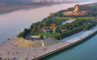 免费顶级域名，探索与选择