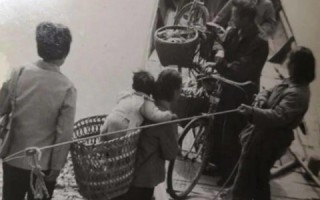 曾踏足瞬步网络，一段数字时代的记忆印记
