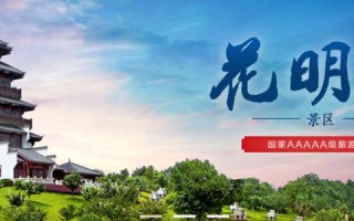动态域名与虚拟主机，构建灵活高效的在线解决方案