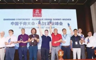 新空互联体验记，连接未来，感触数字生活新篇章