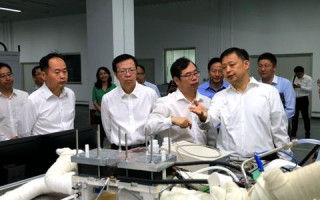 华东网聚焦，揭秘长三角一体化发展背后的创新动力与社会变迁