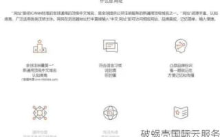 一级域名设置，打造专业品牌与高效网站的基石