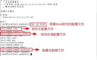 关于域名系统下列叙述错误的是，解析与探讨