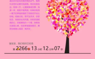 评测，唯一爱你IDC网—数字时代的浪漫表白平台