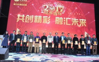联动东方官网，构建数字桥梁，共创智慧未来
