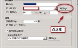 域名可以不绑定直接解析吗？解析原理与操作指南