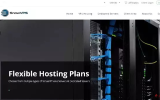 ServerPro国际网官方评测与深度解析，专业服务，高端性能，值得信赖