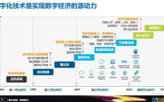 帝网中国，重塑互联网未来的数字化巨兽
