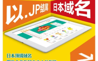 ADJP，日本的独特域名体系解析