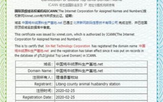 中国国家顶级域名证书的作用与意义