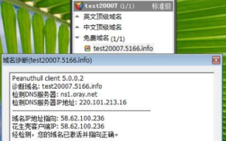 在XP系统上搭建WEB服务器（IIS）并使用花生壳域名发布个人网站