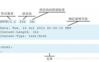 在Internet中主机的IP地址与域名