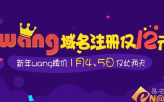 域名变迁史，探索wang的域名之前