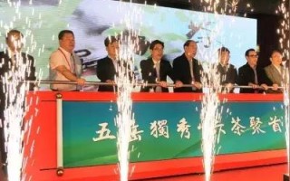 草暖互联，重塑数字时代的新经济地图