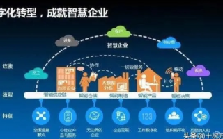 西拓数据，以技术创新为驱动，筑基数字化转型新时代