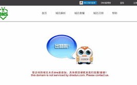 解析不同步下的.DE域名，挑战与解决方案