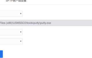 解决servUFTP域名捆绑问题，在线等待与高效策略