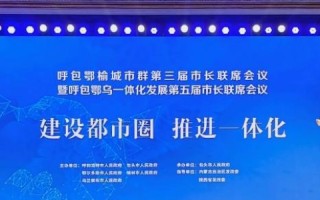 群网互联评测，追踪数字时代下的连接新维度