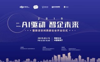 探寻中国万维网的蜕变与未来，创新、挑战与全球化视野