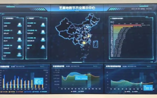 东莞数据官网，信息时代的城市智慧门户