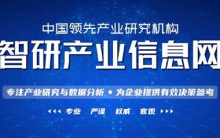 讯维中国，探索其应用与未来前景