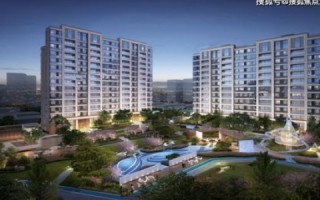 速龙互联，变革传统网络，构建未来互联的桥梁