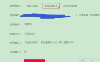 安全配置与域名绑定，将内网服务器设为DMZ主机并应用花生壳域名